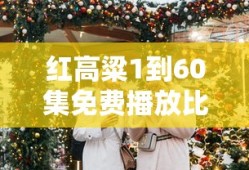 红高粱1到60集免费播放比节