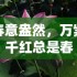 烟雨江湖绝世本通关攻略