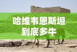 哈维韦恩斯坦到底多牛