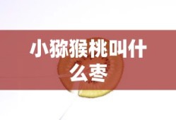 至尊特工秦阳百度百科女主是谁