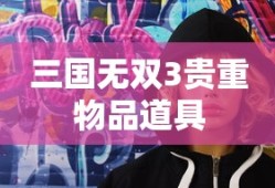 三国无双3贵重物品道具