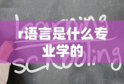 r语言是什么专业学的