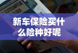 新车保险买什么险种好呢
