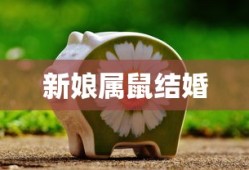 高晓松座驾