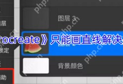 Procreate突然只能画直线？5个快速解决方法亲测有效