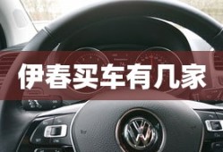 伊春买车有几家