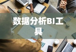数据分析BI工具对比研究