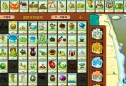 PVZ杂交版英雄模式雪地探险过关攻略