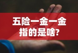 五险一金一金指的是啥?