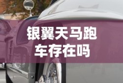 银翼天马跑车存在吗