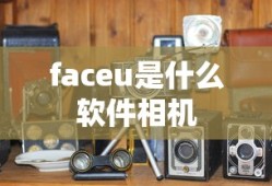 faceu是什么软件相机