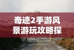 饭圈文化，是贬义词还是褒义？