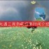 光遇三周年庆什么时候结束-三周年庆结束时间介绍