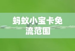 蚂蚁小宝卡免流范围