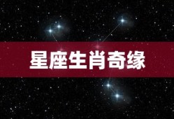 金刚大战哥斯拉免费观看完整版国语