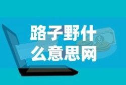 路子野什么意思网络