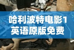 哈利波特电影1英语原版免费