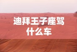 迪拜王子座驾什么车