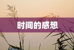 时间的流转与感悟