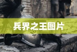 兵界之王图片