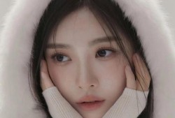 三国梦想，王元姬与无惨游戏的世界，三国梦想，王元姬与无惨游戏之旅