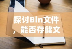 探讨Bin文件，能否存储文本及其相关知识点