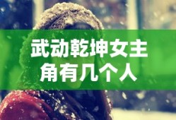 武动乾坤女主角有几个人