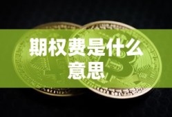 期权费是什么意思