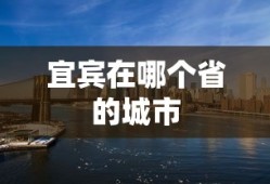 宜宾在哪个省的城市