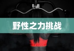 珍珑棋局棋谱图解 天龙八部