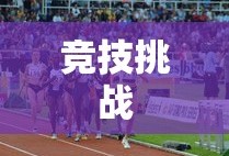 台球比赛的魅力与挑战，台球比赛的魅力与竞技挑战