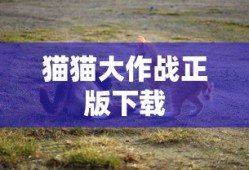 对你不止是喜欢电视剧免费观看全集高清