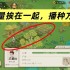 桃源记2新手开荒全攻略