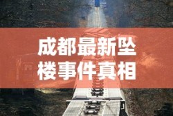 成都最新坠楼事件真相