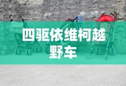 蜡笔小新煤炭镇的小白玉子问题答案大全 蜡笔小新煤炭镇的小白玉子答案
