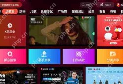 全民K歌电视怎么下载安装