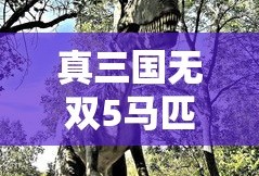 真三国无双5马匹排行榜