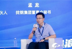找钢集团孟龙：将成熟的AI技术复制到海外，助力中国制造出海
