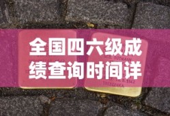 全国四六级成绩查询时间完全解析