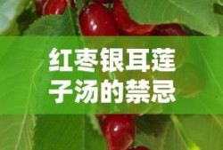 红枣银耳莲子汤的禁忌是什么?