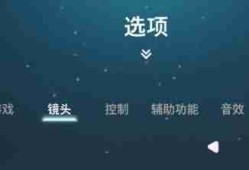 双影奇境镜头抖动要关吗