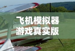 飞机模拟器游戏真实版