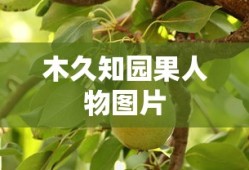 木久知园果人物图片