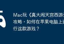 Mac玩《真大闹天宫西游录》攻略，如何在苹果电脑上运行这款游戏？