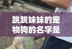 跳跳妹妹的宠物狗的名字是