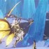 二重螺旋羽化者boss打法攻略分享