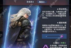 新神魔大陆魔剑士技能介绍