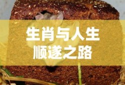 IMToken钱包，便捷安全高效的数字资产首选