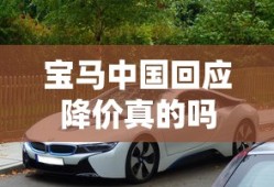 我是特种兵之火凤凰免费观看全集完整版