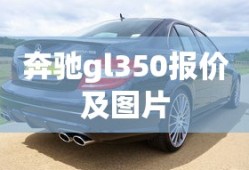 奔驰gl350报价及图片